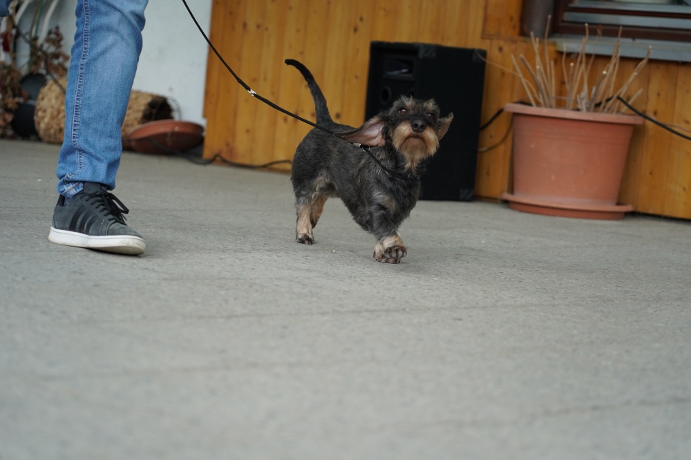 s_A9_09482.jpg